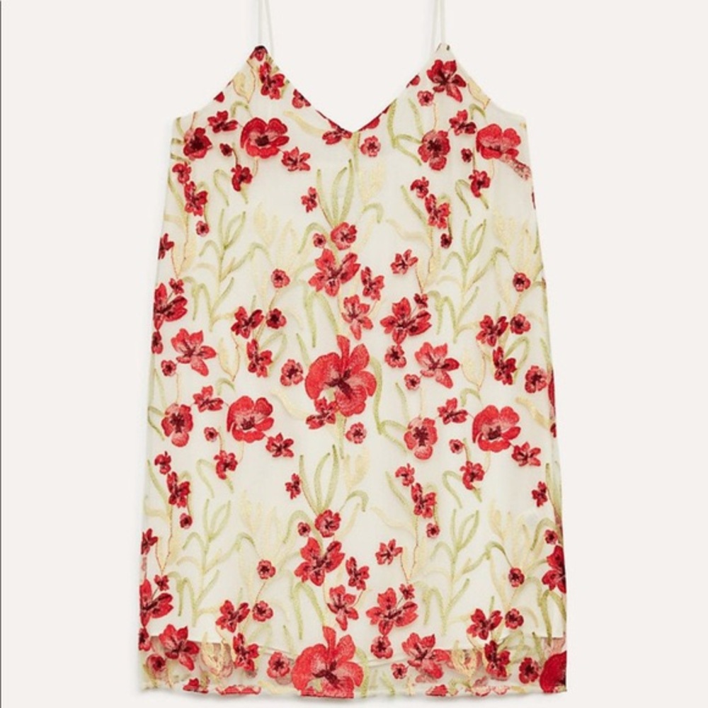 Aritzia Little Moon Cheyenne Dress